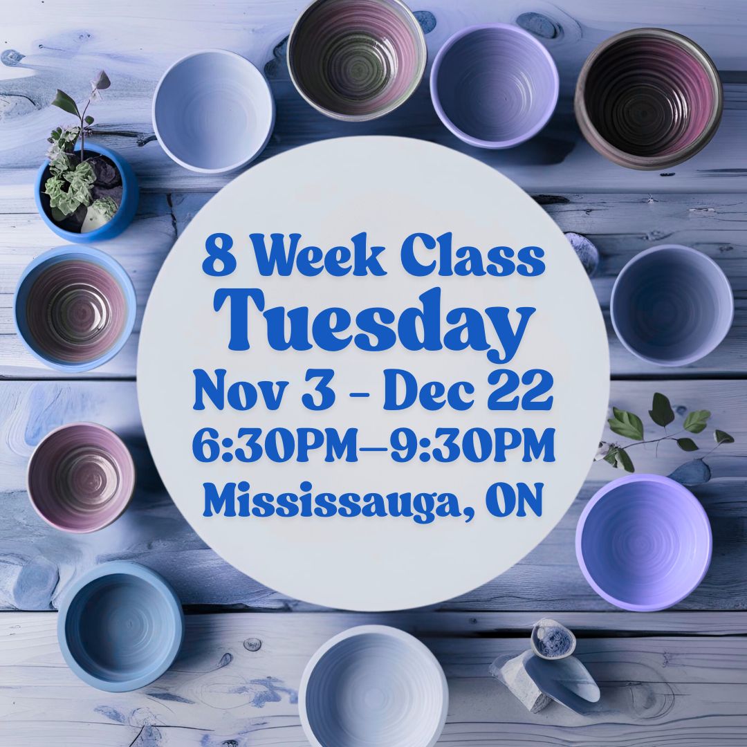 Mississauga, 8 Week Class, Tuesday, November 3 - December 22, 6:30-9:30pm