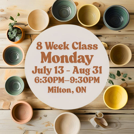 Mississauga, 8 Week Class, Monday, July 13 - August 31, 6:30-9:30pm