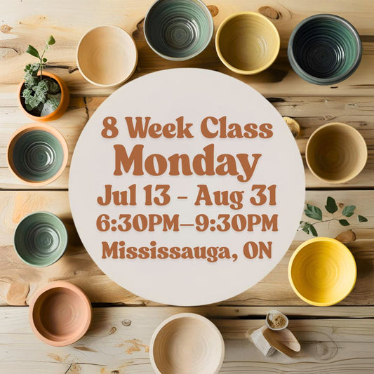 Mississauga, 8 Week Class, Monday, July 13 - August 31, 6:30-9:30pm