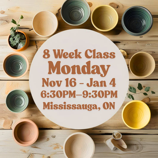 Mississauga, 8 Week Class, Monday, November 16 - January 4, 6:30-9:30pm