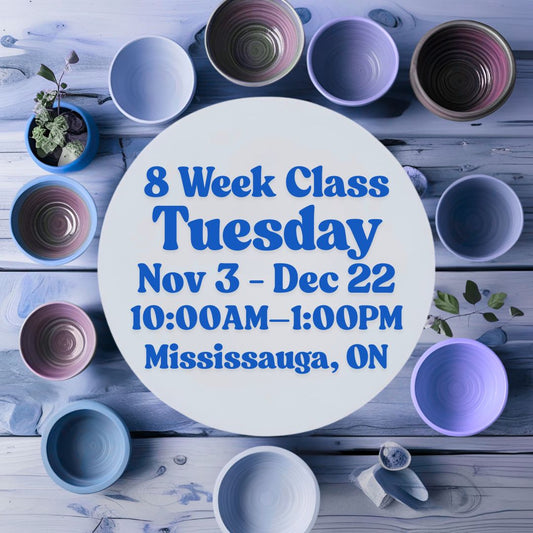 Mississauga, 8 Week Class, Tuesday, November 3 - December 22, 10:00am-1:00pm